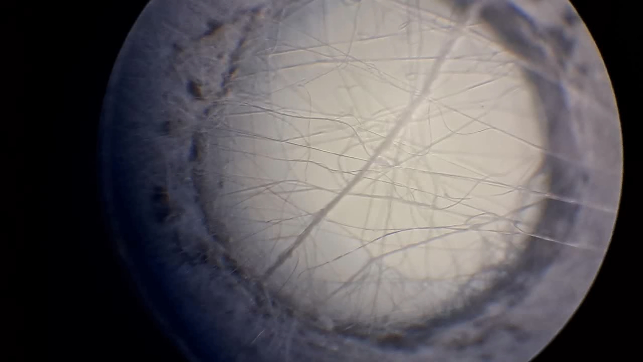 Electrospinning: Solution of Polystyrene in Ethyl Acetate